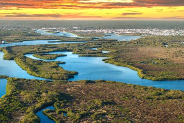 Tropik sulak arazi ekosistemi. Kuzey Limanı 'ndaki Florida tatlı suyu Myakka Nehri. Güney Amerika 'da yabani bitki örtüsü.