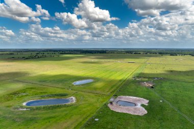 Serbest çiftlikte içme göletleri. Yeşil çiftlik otlaklarında otlayan inekler için su deposu. Çiftlik arazilerinde sığır beslemek.