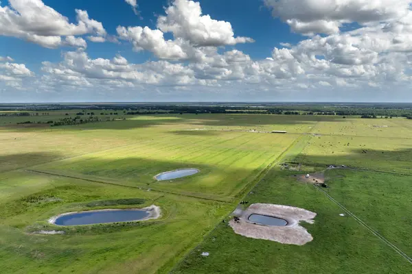 Serbest çiftlikte içme göletleri. Yeşil çiftlik otlaklarında otlayan inekler için su deposu. Çiftlik arazilerinde sığır beslemek.