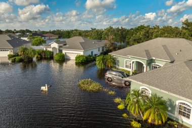 Debby kasırgası Florida 'nın Sarasota kentindeki konut ve arabaları sular altında bıraktı. Doğal afetten sonra.