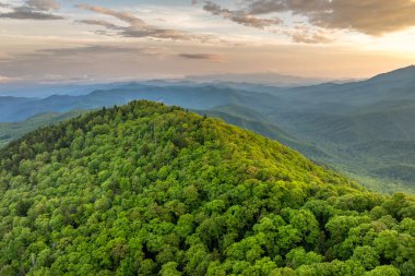 Kuzey Carolina 'daki Appalachian dağ tepelerinde yaz ormanlarının sabah manzarası. Güzel doğanın yaz manzarası.