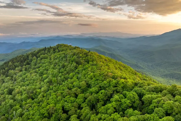 Kuzey Carolina 'daki Appalachian dağ tepelerinde yaz ormanlarının sabah manzarası. Güzel doğanın yaz manzarası.