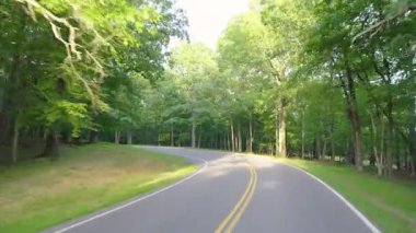 Araba bakış açısı yaz ormanlarında dolambaçlı dağ yolunda gidiyor. Kuzey Carolina 'daki Appalachian dağlarında yaz mevsiminde taze yeşil orman ağaçları var. ABD doğasının güzelliği.