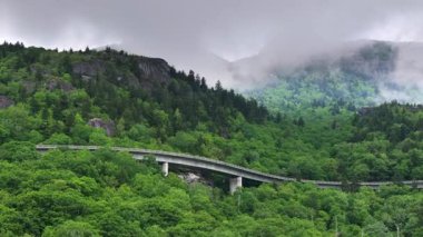 Kuzey Carolina Appalachian dağlarındaki dağ geçidi yolu, ABD. Yaz yağmuru mevsiminde Blue Ridge Parkway 'deki Linn Cove Viaduct.