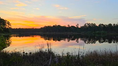 Gün batımında güzel doğa manzarası. Florida 'daki Orman Gölü Vahşi Hayatı.