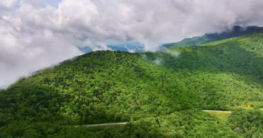 Appalachian Dağları 'nın yaz ormanlarında mavi tepe yolu ve renkli ormanlarda yeşil gölgeler. Yaz mevsiminde vahşi doğada araba kullanmak.