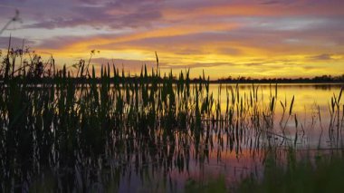 Florida gölü doğası gün batımında. Venedik 'teki Wellen parkında eğlence amaçlı vahşi yaşam alanı.