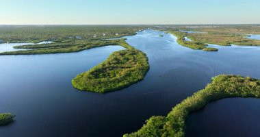 Myakka nehri ile yeşil bitki örtüsü arasında Florida sulak alanları. Günbatımında tropik ekosistem.