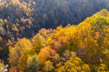 Günbatımında Appalachian dağlarının sonbahar ormanları. Renkli ormanlarda sarı ve turuncu gölgeler. Sonbahar mevsiminde vahşi doğanın manzarası.