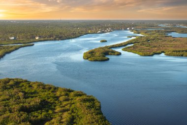 Florida Myakka nehri sulak arazi doğası. Günbatımında yoğun yeşil bitki örtüsüyle tropik bataklık.