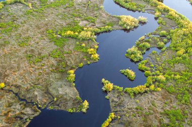 Myakka nehri ile yeşil bitki örtüsü arasında Florida sulak alanları. Günbatımında tropik ekosistem.