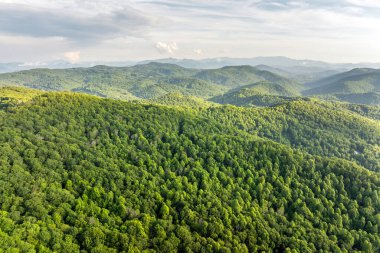 Kuzey Carolina Appalachian dağları yaz mevsiminde. Güzel doğanın yaz manzarası.