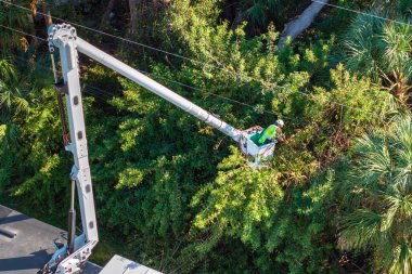Elektrik kesintilerini azaltmak için elektrik kablosu alanından ağaç dalları kesen teknisyen..