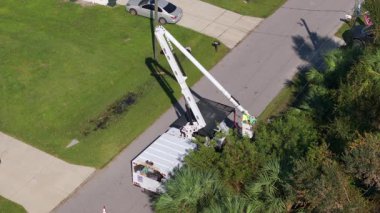 Elektrik hattının etrafındaki bitkiler buduyor. Belediye elektrikçisi ağaç dallarını keserek elektrik şebekesi kablolarının kırılmasını engelledi