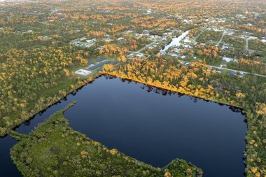 Güzel doğa. Kuzey Limanı, Florida 'daki Myakka Nehri. Yeşil yabani bitki örtüsü arasındaki sulak alanlar. Tropik ekosistem.