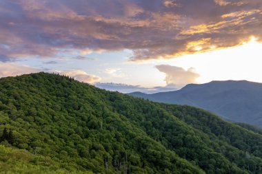 Smokey Dağları 'nda parlak günbatımı yaz ormanları. Kuzey Carolina 'daki Appalachian dağlarında yaz mevsiminde taze yeşil orman ağaçları var. ABD doğasının güzelliği.