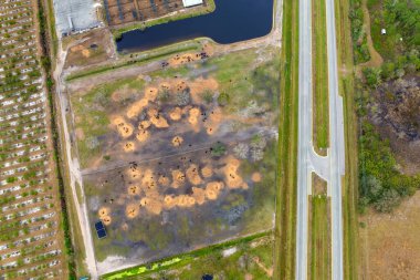 Sığır ağılında sığır eti. Florida kırsal kesimindeki çiftlik hayvanlarının beslenmesi..