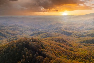 Sonbahar mevsiminde sarı orman ağaçlarıyla Kuzey Carolina 'daki Appalachian Dağları' na tırmandım. Sonbahar doğasının güzelliği.