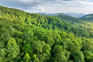 Kuzey Carolina Appalachian dağları yaz mevsiminde. Güzel doğanın yaz manzarası.