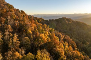 Kuzey Carolina 'daki Appalachian dağlarının günbatımı tepelerinde sonbahar mevsiminde yemyeşil orman ağaçları vardı. Sonbahar doğasının güzelliği.