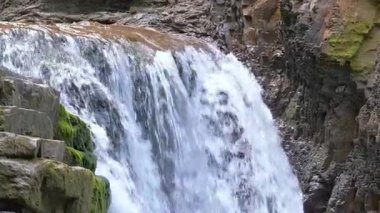 Yaz ormanlarında kayalık oluşumdan dökülen köpüklü suyla birlikte dağ nehrine dökülen şelale..