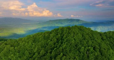 Kuzey Carolina Appalachian dağlarında yaz mevsiminde parlak gün doğumu. Güzel doğanın yaz manzarası.
