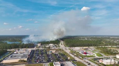 Florida 'nın kuzey liman şehrinde büyük bir yangın var. Zehirli duman atmosferli ormanda sıcak alevler.