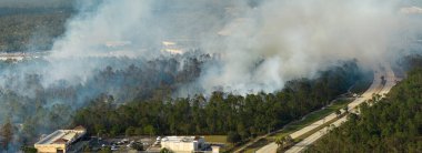 Florida ormanlarında yangın söndüren itfaiye araçları. İtfaiye araçları ormanda yangın çıkarmaya çalışıyor. Zehirli duman kirletici atmosfer.