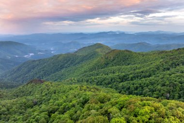 Yaz mevsiminde gün batımında yeşil tepe örtüleri olan dağ ormanları. Kuzey Carolina Yazın vahşi orman doğası.