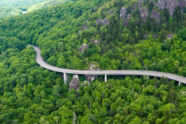 Appalachian dağlarındaki Linn Cove Viyaduct 'ta araba sürerken. Yaz mevsiminde yeşil tepe örtüleri olan dağ ormanlarında dolambaçlı bir yol..