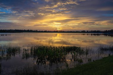 Güney tropik sulak alanlarda, göl suyunun üzerinde gün batımı. İnanılmaz Florida doğası..
