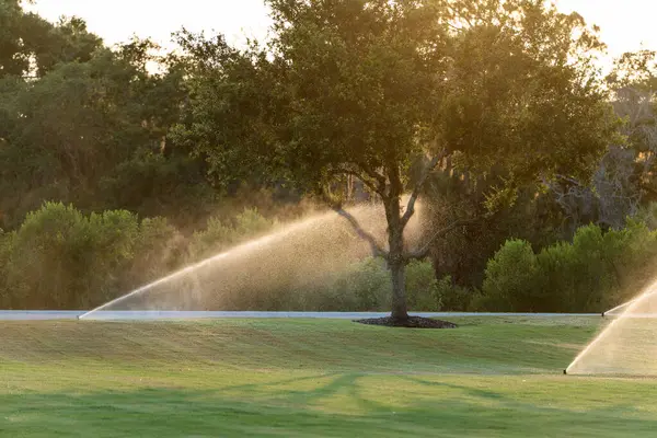Çimleri korumak için su fıskiyeli otomatik sulama sistemi.