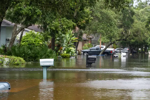 Debby Kasırgası 'ndan sonra Florida kırsalındaki posta kutusunu su bastı.