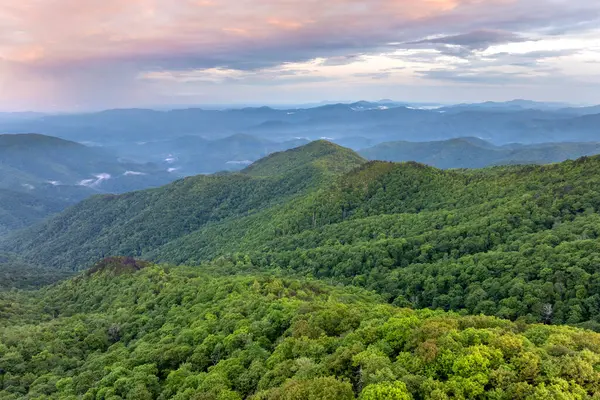 Yaz mevsiminde gün batımında yeşil tepe örtüleri olan dağ ormanları. Kuzey Carolina Yazın vahşi orman doğası.