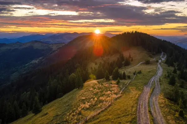 Yürüyüş rotasının dağ manzarası. Batan sarı güneşle aydınlatılmış ladin ormanları arasındaki karanlık toprak yol. Vahşi ulusal park dağlarında parlak renkli gün batımı.