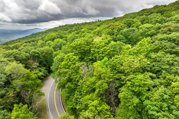 Tennessee Appalachian dağlarında araba sürerken. Yaz mevsiminde yeşil tepe örtüleri olan dağ ormanlarında dolambaçlı bir yol..