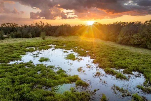 Tropik sulak arazi ekosistemi. Florida tatlı su gölü ve Güney Amerika 'da vahşi bitki örtüsü..