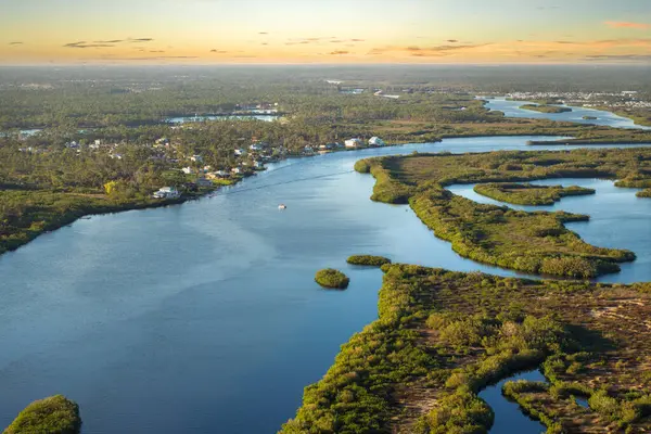 Florida 'nın güneyindeki yeşil bitki örtüsü arasında Myakka nehri olan tropikal sulak alanlar..