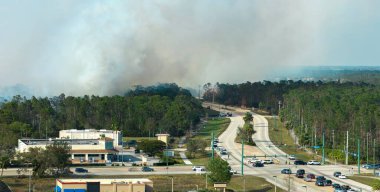 Kuzey Liman şehri Florida 'da şiddetli yanan lagre orman yangınının görüntüsü. Zehirli duman atmosferli ormanda sıcak alevler.