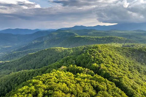 Kuzey Carolina Appalachian dağlarındaki yeşil orman, ABD. Yaz mevsiminde Amerikan doğası.