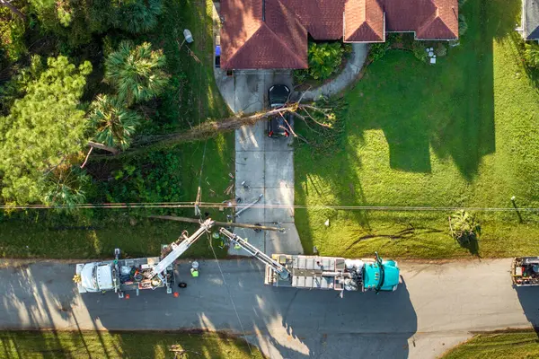 Florida 'daki kasırgadan sonra elektrik hatları tamir ediliyor. İşçiler konutlardaki elektrik kablolarını tamir etmek için kova kamyonları kullanıyorlar..