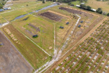 Sığır ağılında sığır eti. Florida kırsal kesimindeki çiftlik hayvanlarının beslenmesi..