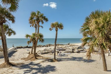 Milton Kasırgası Florida, Manasota Key 'deki rıhtım evinde şiddetli hasara yol açtı. Körfez kıyısındaki evim yıkıldı..