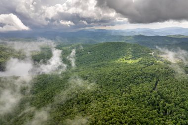 Kuzey Carolina 'daki Appalachian dağ tepelerinde yaz ormanı. Yağmurlu ve nemli havalarda güzel doğanın yaz manzarası.