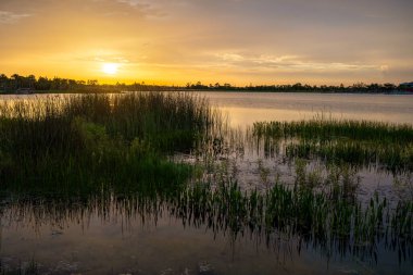 Güney tropik sulak alanlarda, göl suyunun üzerinde gün batımı. İnanılmaz Florida doğası..