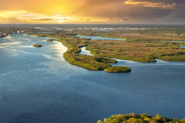 Güney Florida, ABD 'de Myakka nehri ve yeşil bataklıkları olan subtropikal yabani bitki örtüsü. Bataklık Ekosistemi.