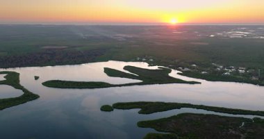 Florida Myakka nehri sulak arazi doğası. Günbatımında yoğun yeşil bitki örtüsüyle tropik bataklık.