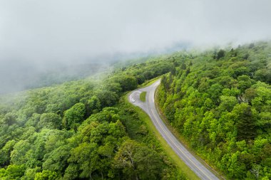 Kuzey Carolina Appalachian dağlarındaki Blue Ridge Parkway 'de araba yolculuğu. Yaz mevsiminde gözlemleme. Güzel doğanın yaz manzarası.