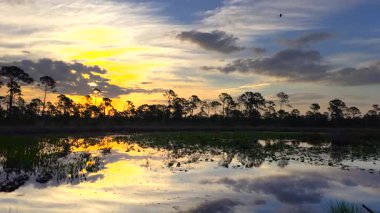 İnanılmaz Florida doğası. Güney tropik sulak alanlarda, göl suyunun üzerinde gün batımı.