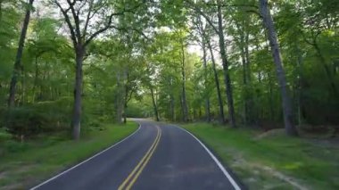 Tennessee Appalachian dağlarında araba sürerken. Yaz mevsiminde yeşil tepe örtüleri olan dağ ormanlarındaki dolambaçlı otoyola sürücü bakış açısı.